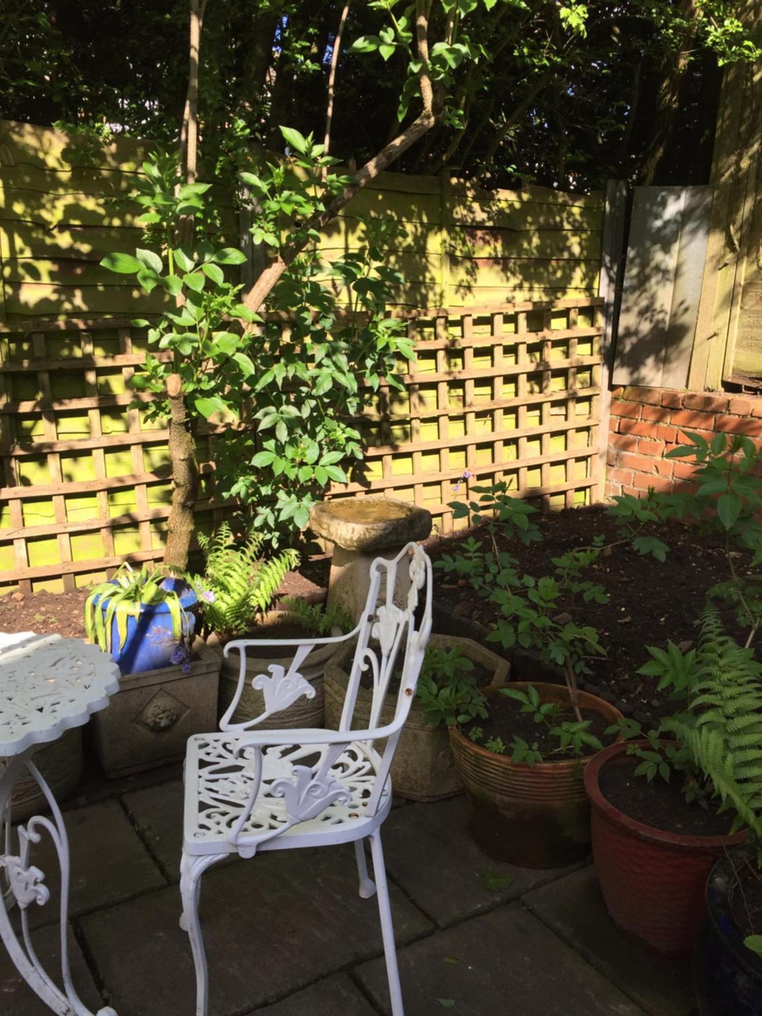 Lowri Cottage Hotel Shenstone Dış mekan fotoğraf